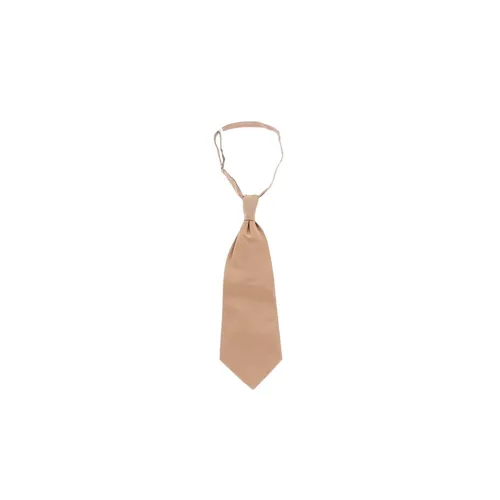 Accessories > Ties - - Corneliani - Modalova