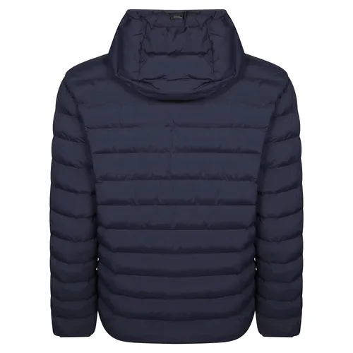Jackets > Winter Jackets - - Herno - Modalova