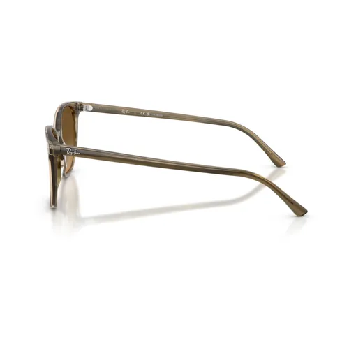 Accessories > Sunglasses - - Ray-Ban - Modalova