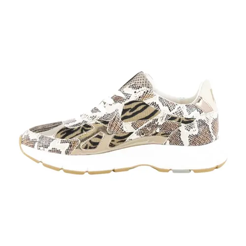 Shoes > Sneakers - - Floris van Bommel - Modalova