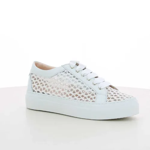 AGL - Shoes > Sneakers - White - AGL - Modalova