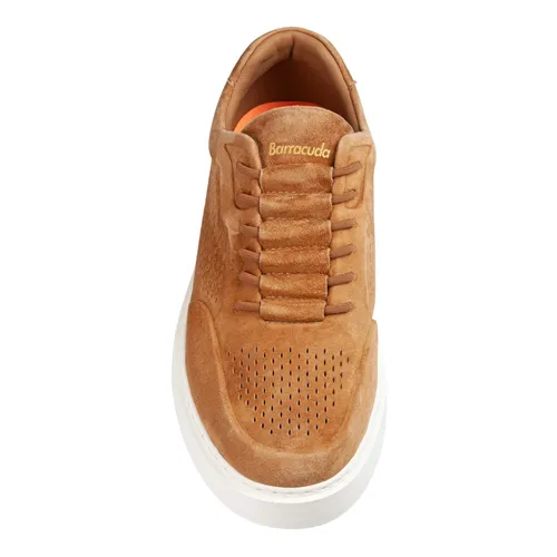 Shoes > Sneakers - - Barracuda - Modalova