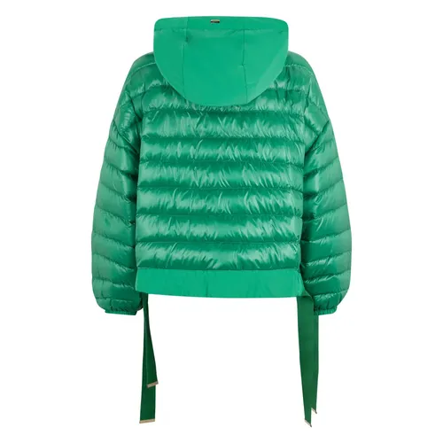 Jackets > Winter Jackets - - Herno - Modalova