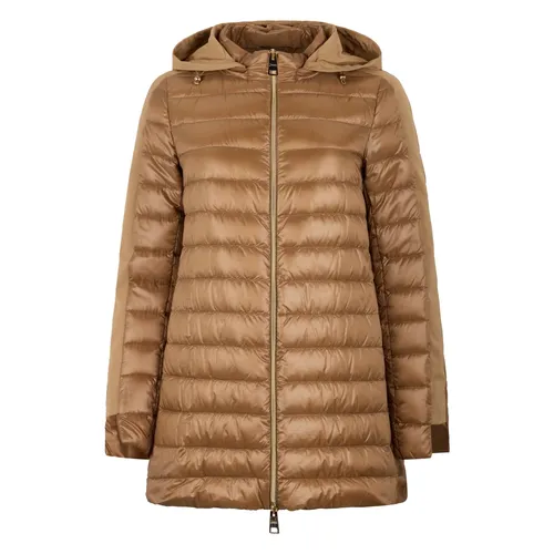 Jackets > Winter Jackets - - Herno - Modalova
