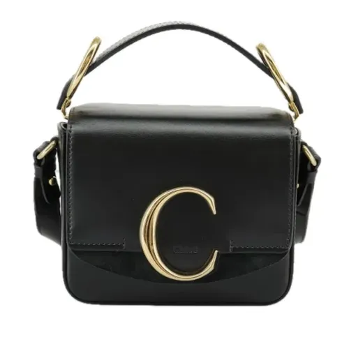 Pre-owned > Pre-owned Bags > Pre-owned Handbags - - Chloé Pre-owned - Modalova