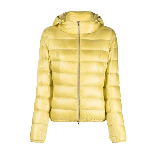 Jackets > Down Jackets - - Herno - Modalova