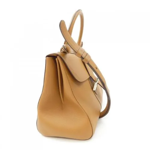 Pre-owned > Pre-owned Bags > Pre-owned Handbags - - Delvaux Pre-owned - Modalova
