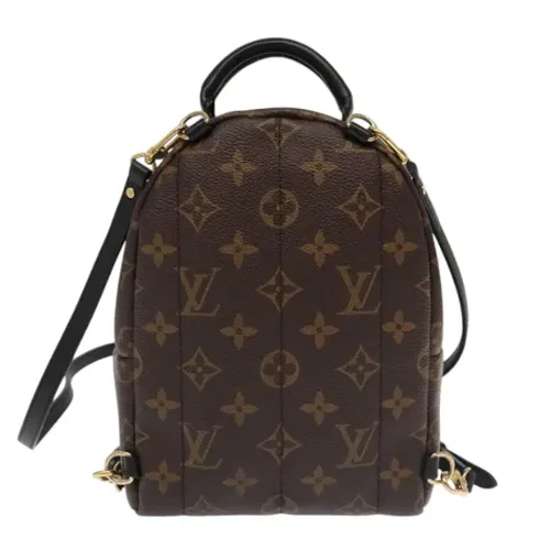 Pre-owned > Pre-owned Bags > Pre-owned Backpacks - - Louis Vuitton Vintage - Modalova