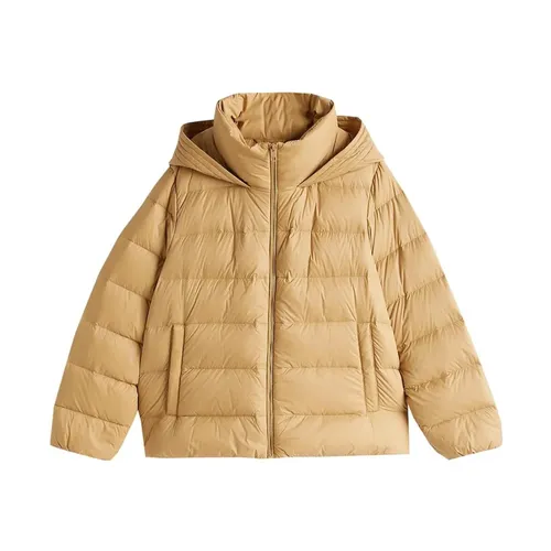 Jackets > Winter Jackets - - Tommy Hilfiger - Modalova