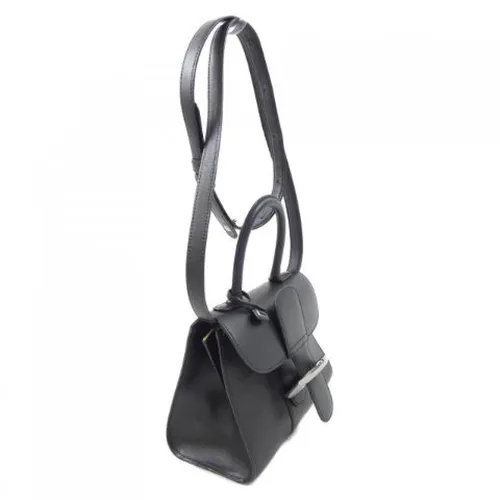 Pre-owned > Pre-owned Bags > Pre-owned Mini Bags - - Delvaux Pre-owned - Modalova