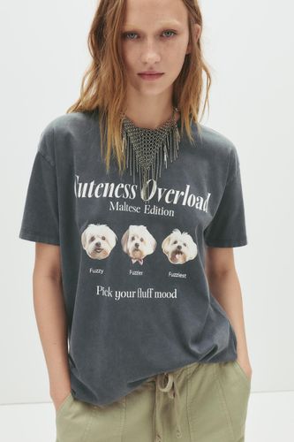 T-Shirt Chien - Pull&Bear - Modalova